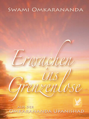 cover image of Erwachen ins Grenzenlose